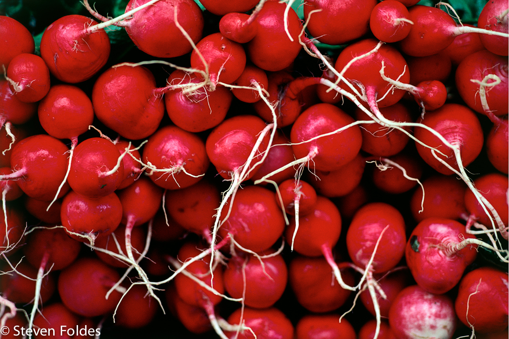 Radishes-10