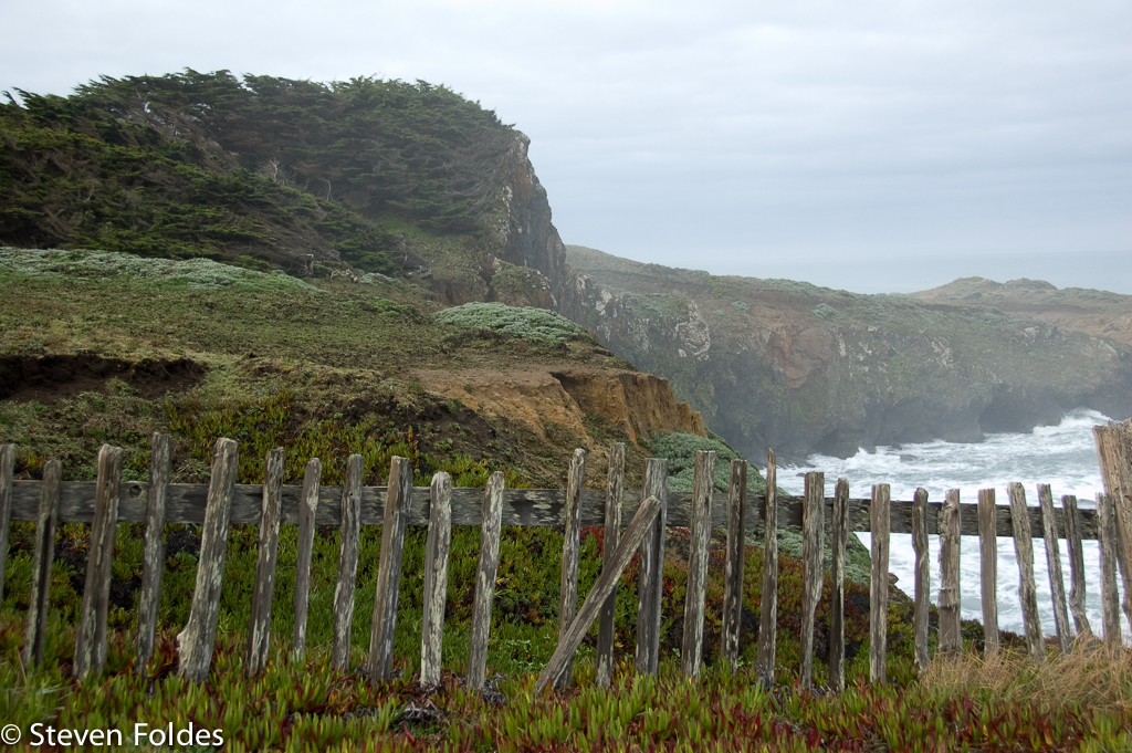 Sea Ranch-15